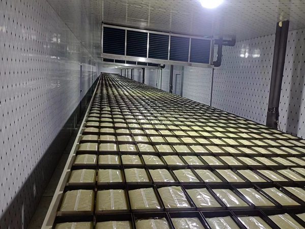 搬運機器人廠家排名榜 上下料搬運機器人圖片